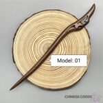 Model01